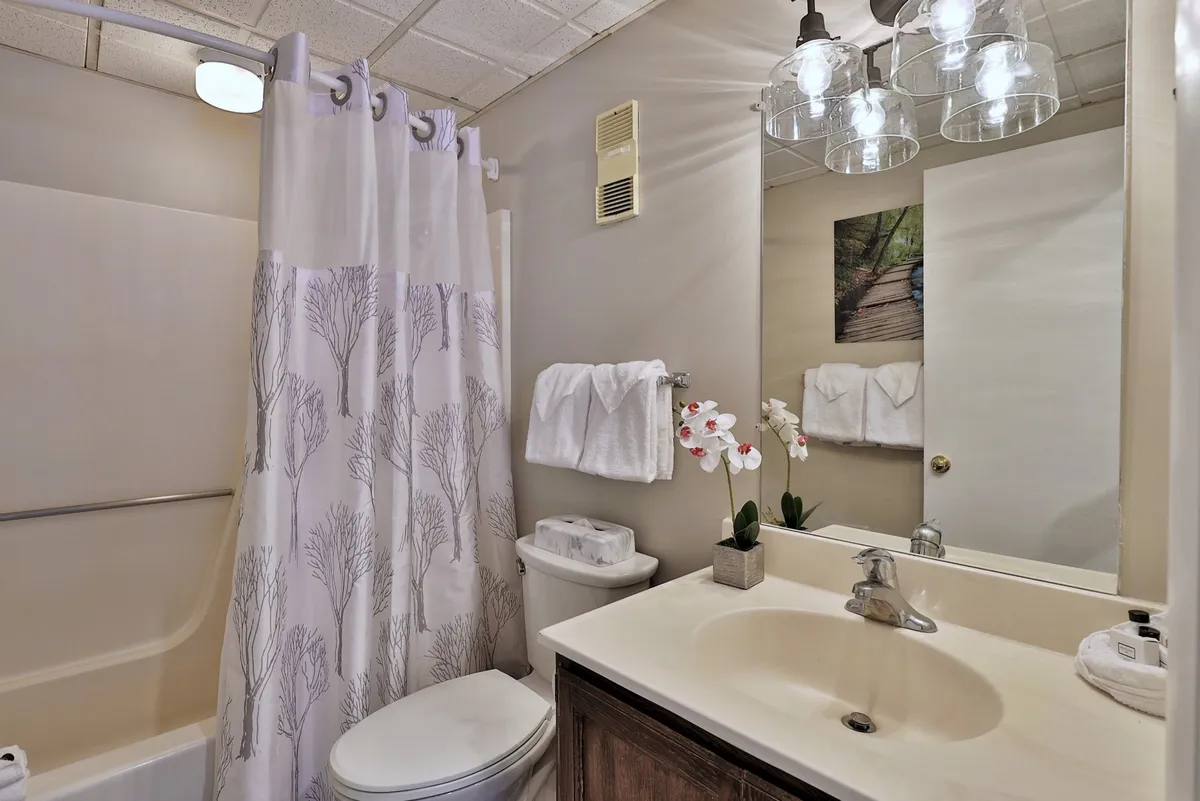 A modern bathroom with a stylish vanity and sink, a spacious shower area, a large mirror, a decorative plant, and soft lighting. The atmosphere is calm and serene—ideal for morning routines or winding down after adventure.